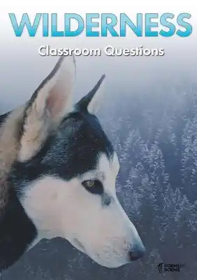 Wilderness Classroom Questions Reduced Price