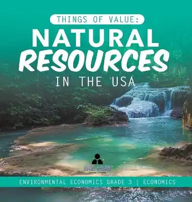 Things of Value: Natural Resources in the USA Environmental Economics Grade 3 Economics Free Delivery