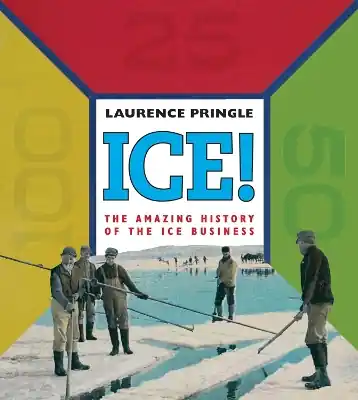 No Minimum Order ICE!