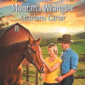 Montana Wrangler (Mills & Boon Love Inspired): First edition Hassle-Free Returns