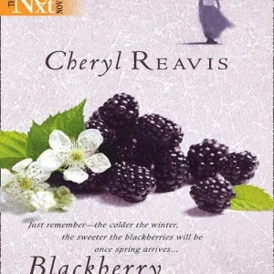 Blackberry Winter (Mills & Boon Silhouette): First edition No Minimum Order