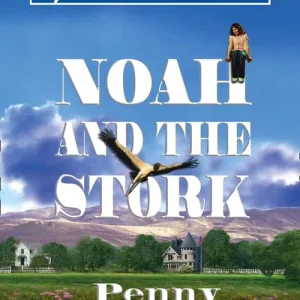 Best Choice Noah And The Stork (Mills & Boon American Romance): First edition