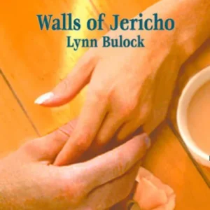 Walls of Jericho (Mills & Boon Love Inspired): First edition Special Offer