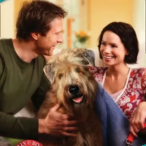 Blame It On The Dog (Singles…with Kids, Book 5) (Mills & Boon Superromance): First edition Express Delivery