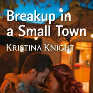 Buy Direct Breakup In A Small Town (A Slippery Rock Novel, Book 3) (Mills & Boon Superromance)