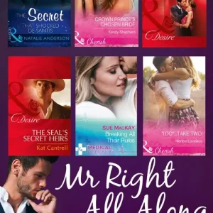 Wholesale Mr Right All Along: The Secret That Shocked De Santis / Breaking All Their Rules / Crown Prince's Chosen Bride / 'I Do'...Take Two! / The SEAL's Secret Heirs / His Secretary's Surprise Fiancé