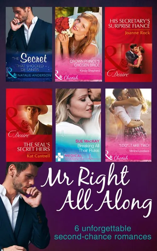 Wholesale Mr Right All Along: The Secret That Shocked De Santis / Breaking All Their Rules / Crown Prince's Chosen Bride / 'I Do'...Take Two! / The SEAL's Secret Heirs / His Secretary's Surprise Fiancé