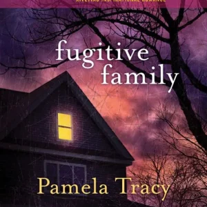 Fugitive Family (Mills & Boon Love Inspired): First edition Top Pick
