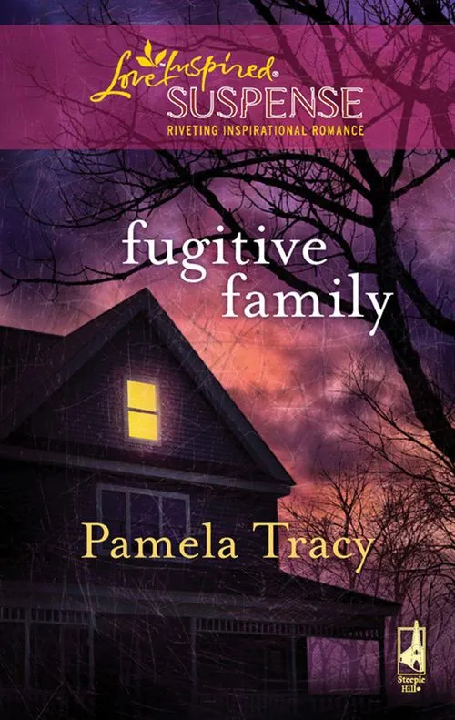 Fugitive Family (Mills & Boon Love Inspired): First edition Top Pick