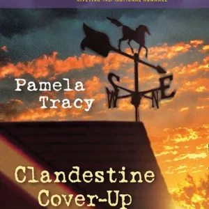 Clandestine Cover-Up (Mills & Boon Love Inspired): First edition Buy Today