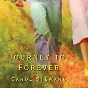 Final Sale Journey To Forever (Mills & Boon Love Inspired): First edition