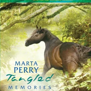 Tangled Memories (Mills & Boon Love Inspired): First edition Hot Deal