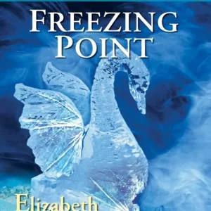 Get Yours Freezing Point (Mills & Boon Love Inspired Suspense): First edition