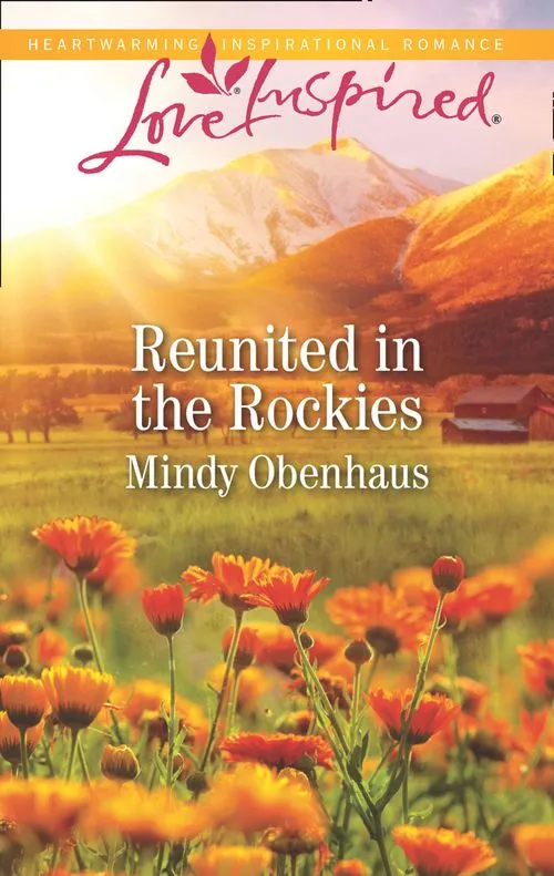 Don’t Miss Out Reunited In The Rockies (Rocky Mountain Heroes, Book 4) (Mills & Boon Love Inspired)