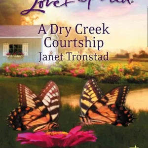 A Dry Creek Courtship (Dry Creek, Book 11) (Mills & Boon Love Inspired): First edition No Minimum Order