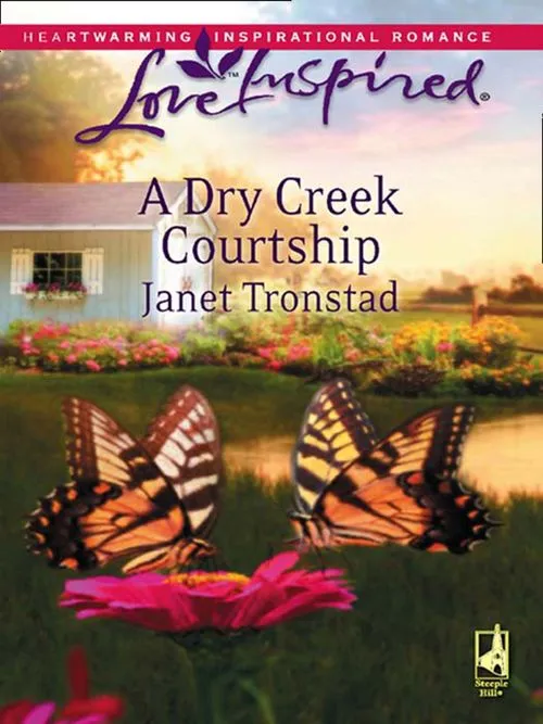 A Dry Creek Courtship (Dry Creek, Book 11) (Mills & Boon Love Inspired): First edition No Minimum Order
