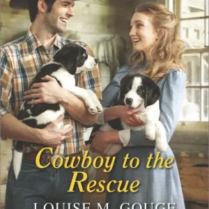 Cowboy To The Rescue (Four Stones Ranch, Book 1) (Mills & Boon Love Inspired Historical): First edition Express Delivery