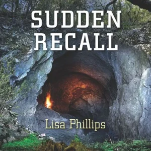 Deal Sudden Recall (Mills & Boon Love Inspired Suspense)