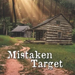 Seasonal Sale Mistaken Target (Mills & Boon Love Inspired Suspense)