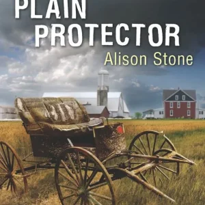 Plain Protector (Mills & Boon Love Inspired Suspense) Reduced Price
