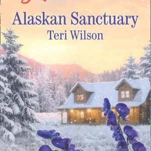 Today Only Alaskan Sanctuary (Mills & Boon Love Inspired)