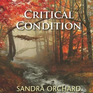 Critical Condition (Undercover Cops, Book 3) (Mills & Boon Love Inspired Suspense): First edition Popular