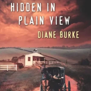 Hidden in Plain View (Mills & Boon Love Inspired Suspense): First edition Weekend Sale