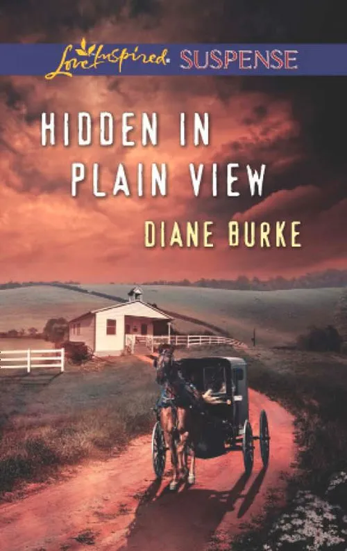 Hidden in Plain View (Mills & Boon Love Inspired Suspense): First edition Weekend Sale