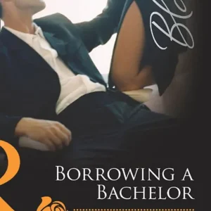 Borrowing a Bachelor (Mills & Boon Blaze): First edition Money Back Guarantee