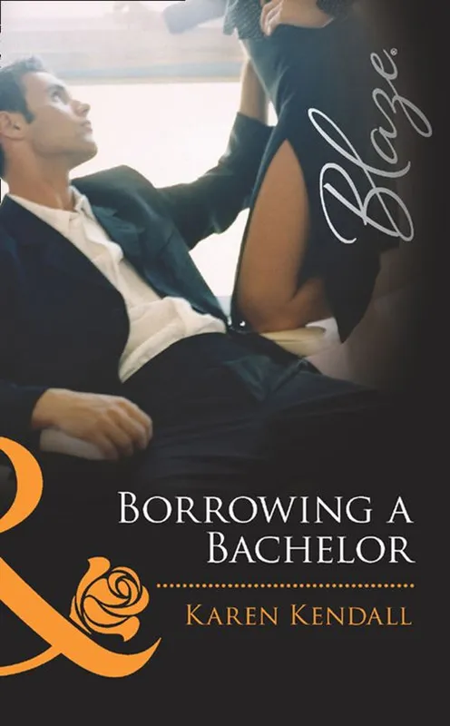Borrowing a Bachelor (Mills & Boon Blaze): First edition Money Back Guarantee