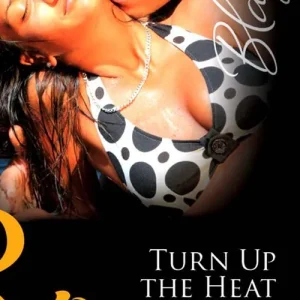 Turn Up the Heat (Mills & Boon Blaze): First edition Discount