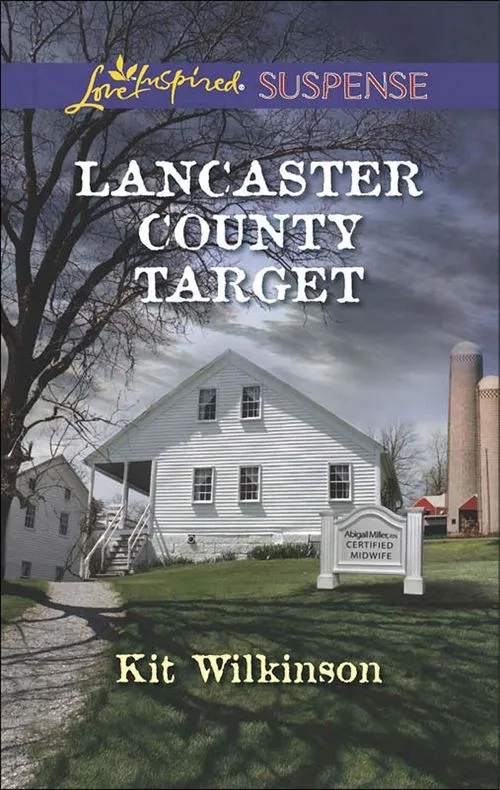 Lancaster County Target (Mills & Boon Love Inspired Suspense): First edition Weekend Sale
