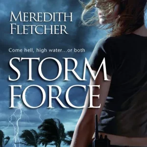 One Day Deal Storm Force (Mills & Boon Silhouette): First edition