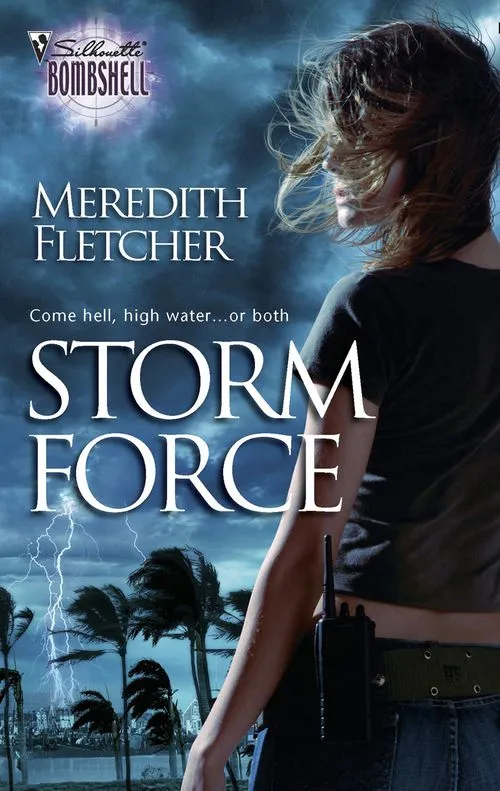 One Day Deal Storm Force (Mills & Boon Silhouette): First edition