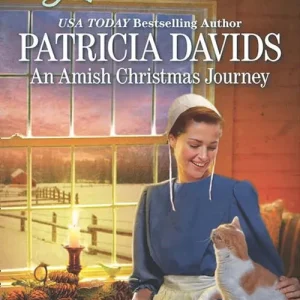 An Amish Christmas Journey (Brides of Amish Country, Book 13) (Mills & Boon Love Inspired): First edition Budget