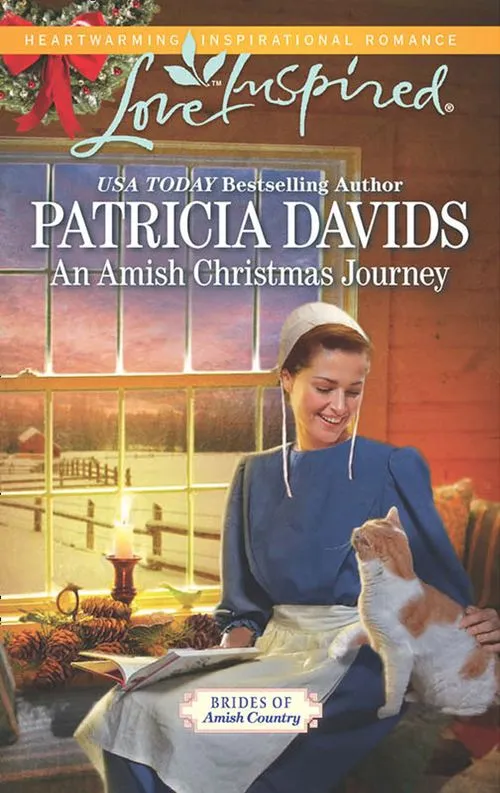 An Amish Christmas Journey (Brides of Amish Country, Book 13) (Mills & Boon Love Inspired): First edition Budget