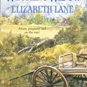 Wyoming Widow (Mills & Boon Historical): First edition High Quality