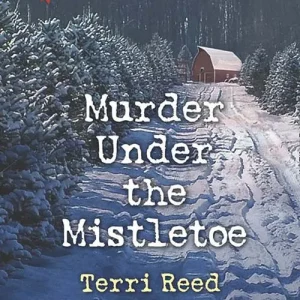Brand New Murder Under The Mistletoe (Northern Border Patrol, Book 3) (Mills & Boon Love Inspired Suspense)