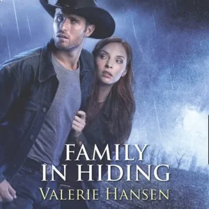 Low Price Family In Hiding (Witness Protection) (Mills & Boon Love Inspired Suspense): First edition