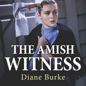 Secure Checkout The Amish Witness (Mills & Boon Love Inspired Suspense)