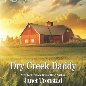 Big Sale Dry Creek Daddy (Dry Creek, Book 18) (Mills & Boon Love Inspired)