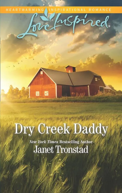 Big Sale Dry Creek Daddy (Dry Creek, Book 18) (Mills & Boon Love Inspired)