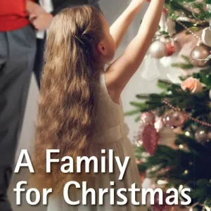 A Family For Christmas (Where Secrets are Safe, Book 13) (Mills & Boon Superromance) Special Discount