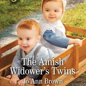 The Amish Widower's Twins (Mills & Boon Love Inspired) (Amish Spinster Club, Book 4) Direct From Manufacturer