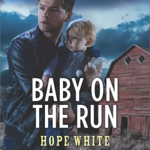 Flash Sale Baby On The Run (The Baby Protectors) (Mills & Boon Love Inspired Suspense)
