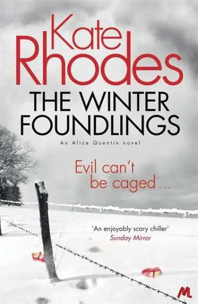 Limited Time The Winter Foundlings