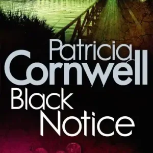 Black Notice Secure Checkout