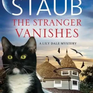 Best Price The Stranger Vanishes
