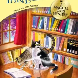 Factory Price Curiosity Thrilled the Cat
