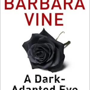 A Dark-Adapted Eye Handmade